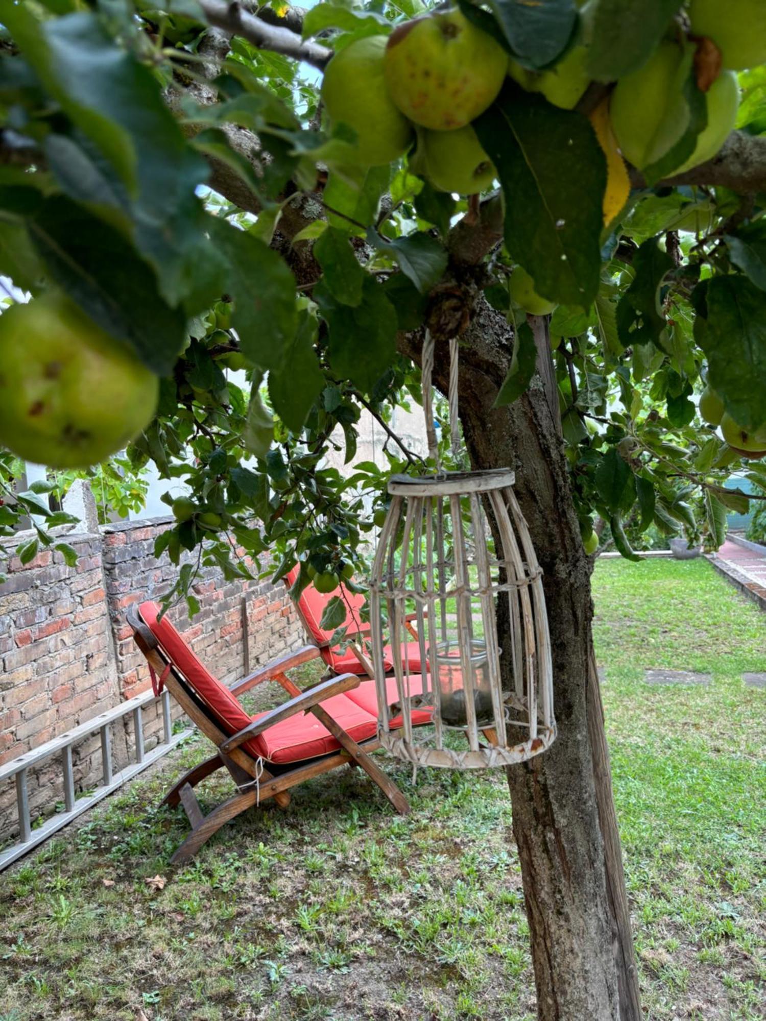 Haus Rheinleben Lägenhet Boppard Exteriör bild